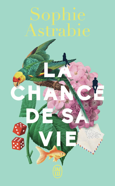remote-cover-9782290411230 La Chance De Sa Vie