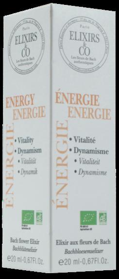 Énergie – élixir floraux
