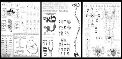 Alphabet du corps humain