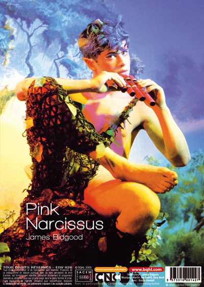 PINK NARCISSUS