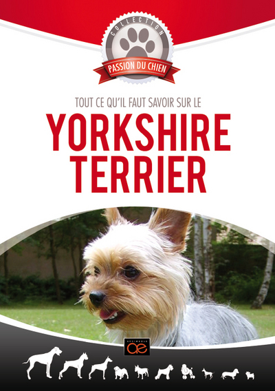 LE YORKSHIRE TERRIER