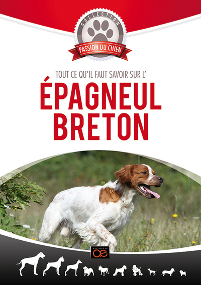 EPAGNEUL BRETON