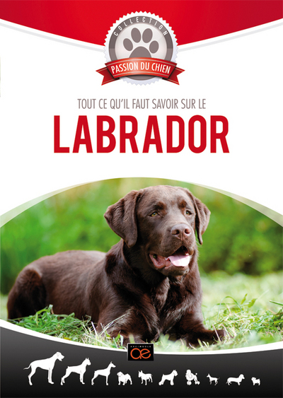 LABRADOR
