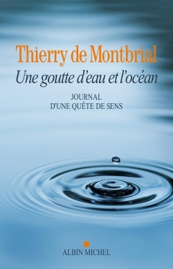 Une goutte d’eau et l’océan
