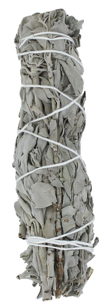 Sauge Blanche Green Tree Bâton purificateur Moyen modèle