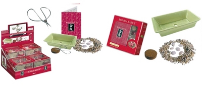 Kit mini Bonsaï – Présentoir lot de 12