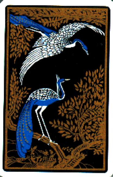 Ibis
