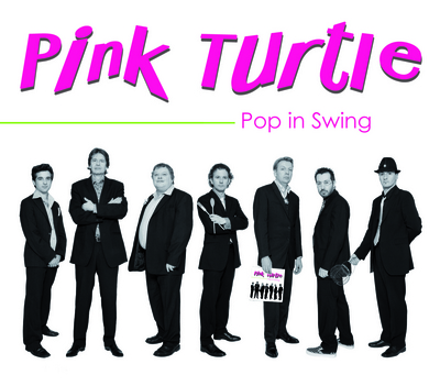 POP IN SWING PAR PINK TURTLE