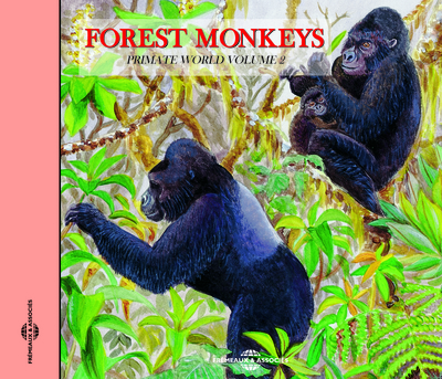 FOREST MONKEYS PRIMATE WORLD