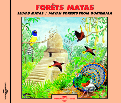 FORETS MAYAS 5 PAYSAGES SONORES DE FORETS DU GUATEMALA