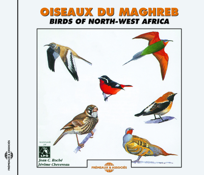 OISEAUX DU MAGHREB