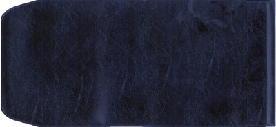 LISEUSE LITURGIE DES HEURES LH BLEU