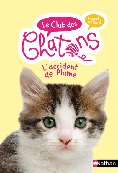 Le club des chaton – tome 10 L’Accident de Plume