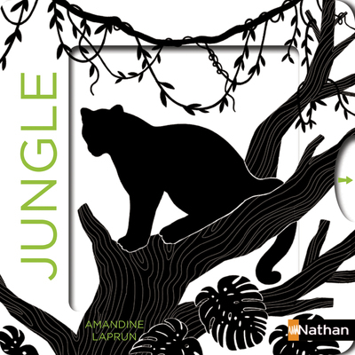 Les belles couleurs – la jungle