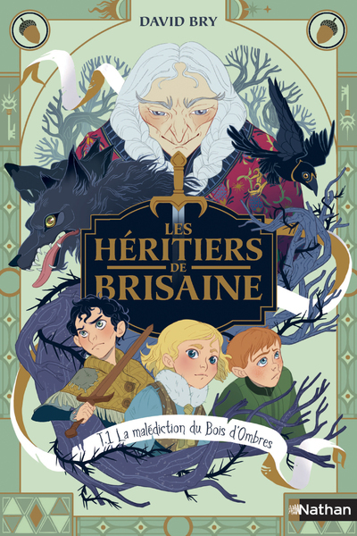 Les Héritiers de Brisaine – Tome 1 La Malédiction du bois d’ombres