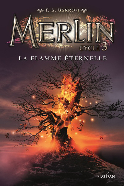 Merlin cycle 3 – tome 3 La flamme éternelle