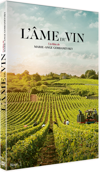 AME DU VIN (L’) – DVD