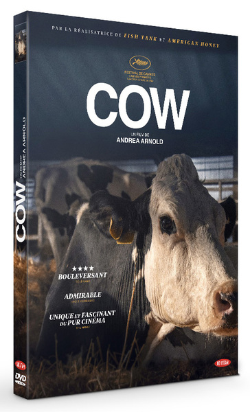 COW – DVD