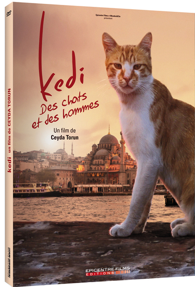 KEDI – DES CHATS ET DES HOMMES – EDITION SIMPLE – DVD