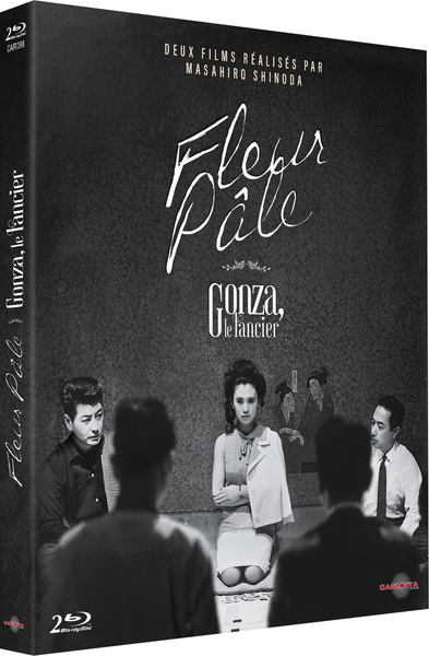 COFFRET 2 FILMS DE MASAHIRO SHINODA – 2 BLU-RAY