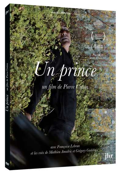 UN PRINCE – DVD