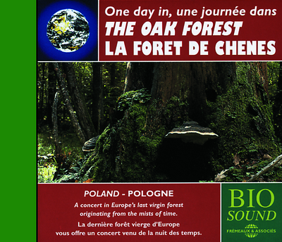UNE JOURNEE DANS LA FORET DE CHENES (PIERRE HUGUET)