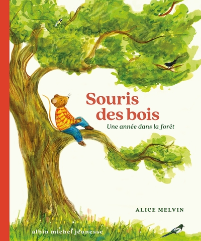 Souris des bois – Une année dans la forêt