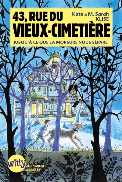 43, Rue du Vieux-Cimetière – livre 3