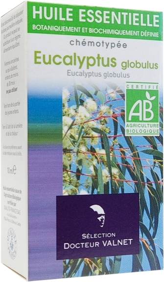 Eucalyptus Globulus