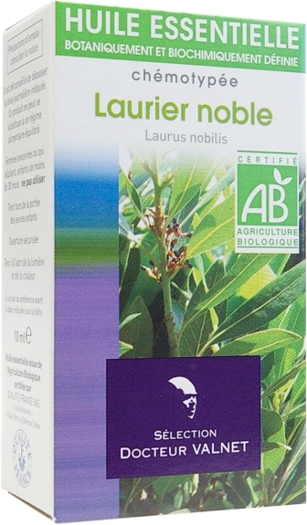 Laurier Noble – Laurus nobilis