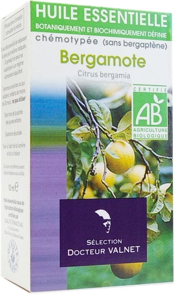 Bergamote – Citrus bergamia