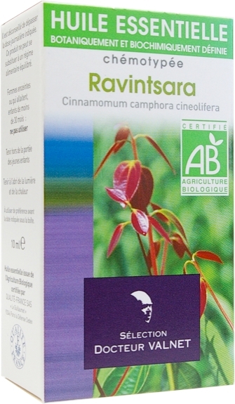 Ravintsara – Cinnamomum camphora cineolifera