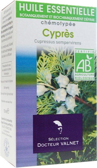 Cyprès – Cupressus sempervirens