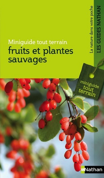 Fruits et plantes sauvages