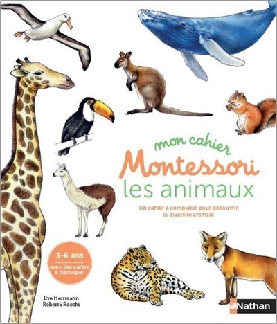 Mon cahier Montessori – Les animaux des continents
