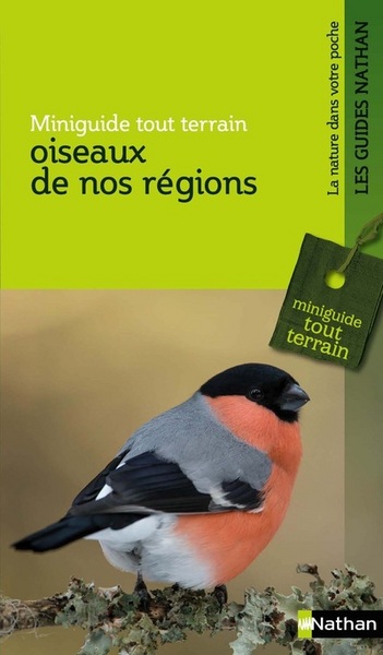 Oiseaux de nos régions