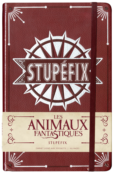 CARNET GRAND FORMAT STUPEFIX