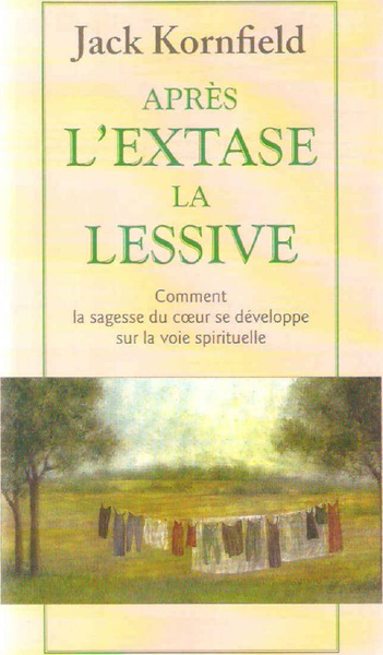 Après l’extase, la lessive
