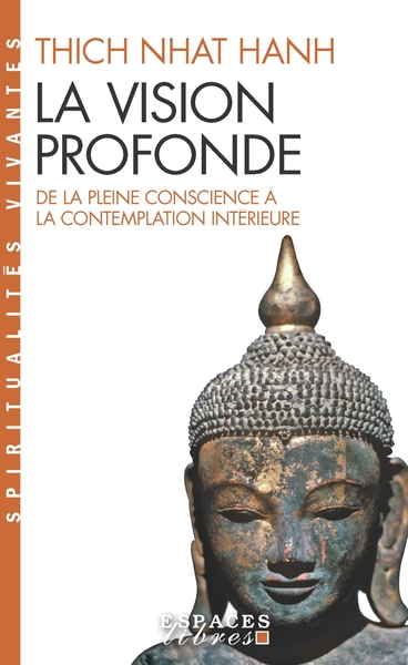 La Vision profonde (Espaces Libres – Spiritualités Vivantes)