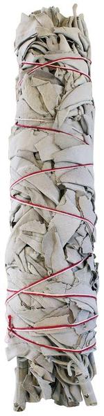 Sauge blanche purificatrice Salvia Apiana – Large