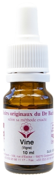 Élixir floral N° 32  – Vine