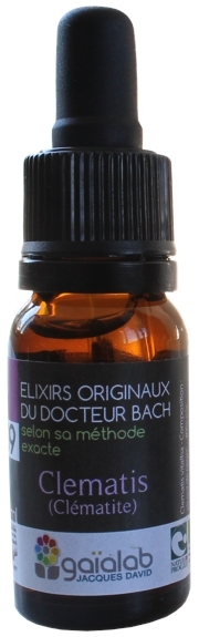 Élixir floral N° 9  – Clématis