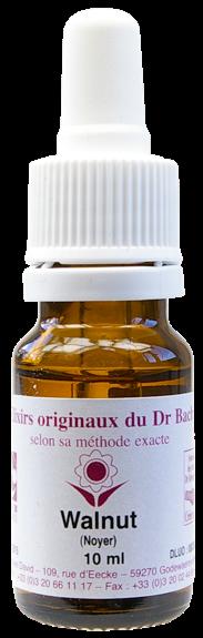 Élixir floral N° 33  – Walnut