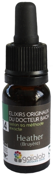 Élixir floral N° 14  – Heather