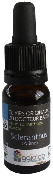 Élixir floral N° 28  – Scléranthus