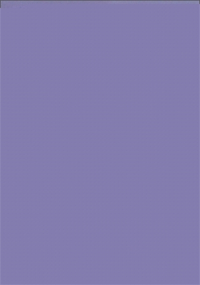 Planche Auriculothérapie – 17×24 cm