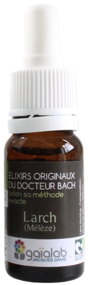 Élixir floral N° 19  – Larch