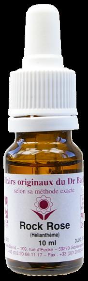 Élixir floral N° 26  – Rock rose