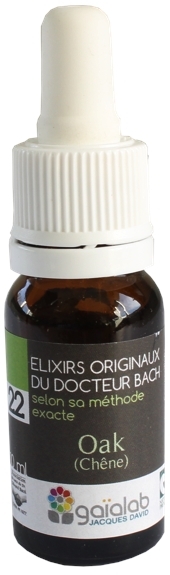 Élixir floral N° 22   Oak