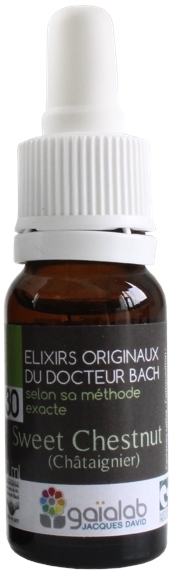 Élixir floral N° 30  – Sweet chestnut